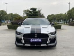 
										Ford Mustang (VI), 2020 full									
