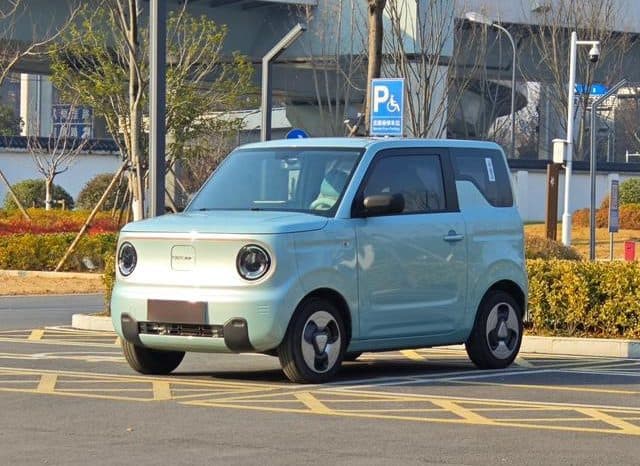 678208df269e2 Geely Panda, 2024