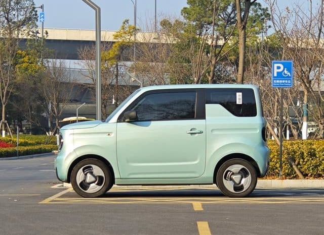 
								Geely Panda, 2024 full									