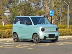 
										Geely Panda, 2024 full									