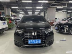 
										Honda Elysion, 2022 full									
