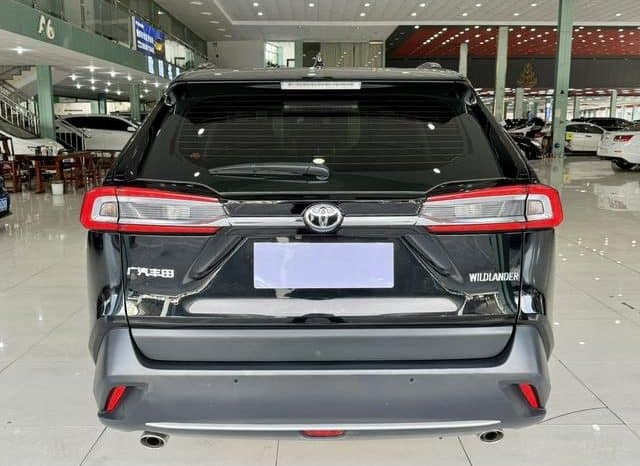 
								Toyota Wildlander, 2024 full									