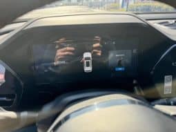 
										Geely Monjaro, 2022 full									