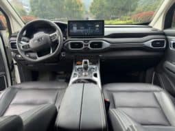 
										Geely Okavango (I), 2021 full									
