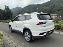 
										Geely Okavango (I), 2021 full									