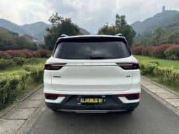 
										Geely Okavango (I), 2021 full									