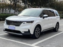 Kia Carnival, 2022
