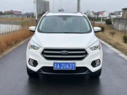 
										Ford Winged Tiger, 2020 full									