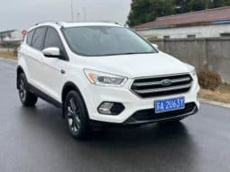 
										Ford Winged Tiger, 2020 full									