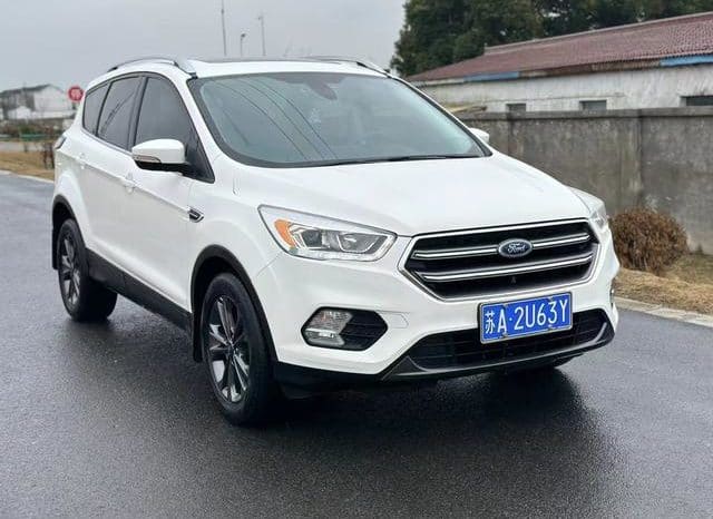
								Ford Winged Tiger, 2020 full									