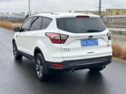
										Ford Winged Tiger, 2020 full									