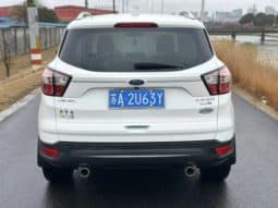 
										Ford Winged Tiger, 2020 full									