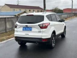 
										Ford Winged Tiger, 2020 full									