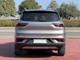 
										Geely Okavango (I), 2020 full									