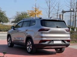 
										Geely Okavango (I), 2020 full									