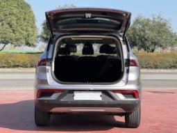 
										Geely Okavango (I), 2020 full									