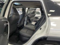 
										Toyota RAV4 (IV), 2020 full									