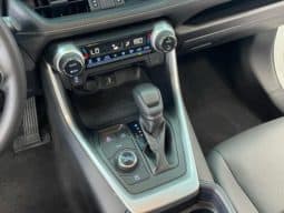 
										Toyota RAV4 (IV), 2020 full									