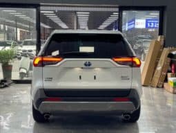 
										Toyota RAV4 (IV), 2020 full									