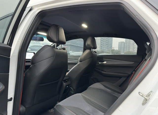 
								Geely Binrui, 2023 full									