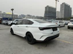 
										Geely Binrui, 2023 full									