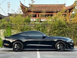 
										Ford Mustang (VI), 2020 full									