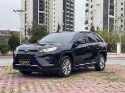Toyota Wildlander, 2021