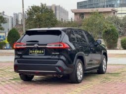 
										Toyota Wildlander, 2021 full									