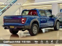 
										Ford F-150 (XIII), 2023 full									