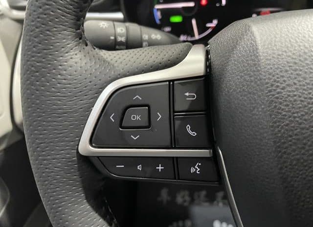 
								Toyota Granvia, 2024 full									