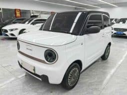 Geely Panda, 2023