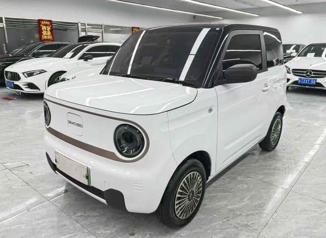 6797a19bad415 Geely Panda, 2023