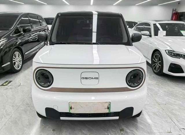 
								Geely Panda, 2023 full									