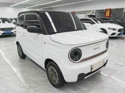 
										Geely Panda, 2023 full									