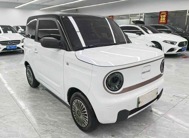
								Geely Panda, 2023 full									
