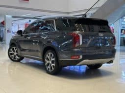 
										Hyundai Palisade, 2022 full									