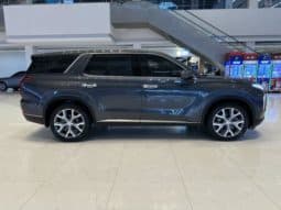 
										Hyundai Palisade, 2022 full									