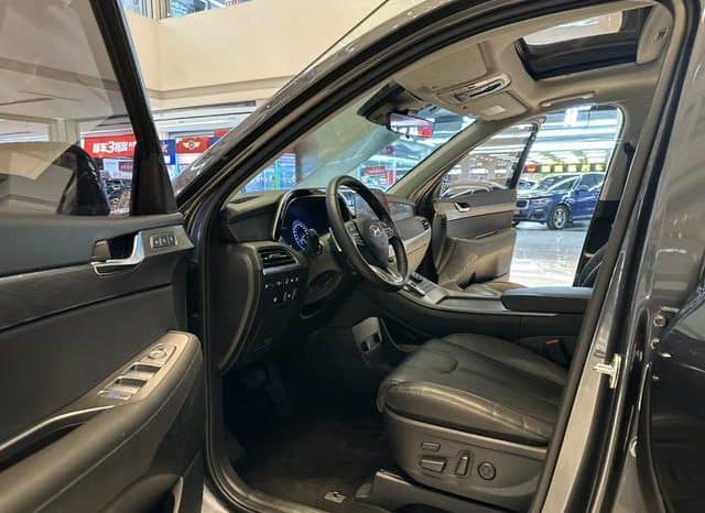 
								Hyundai Palisade, 2022 full									