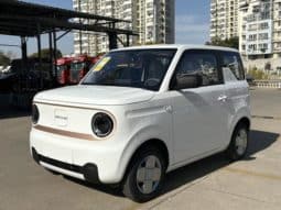 6797b4993ba13 Geely Panda, 2024