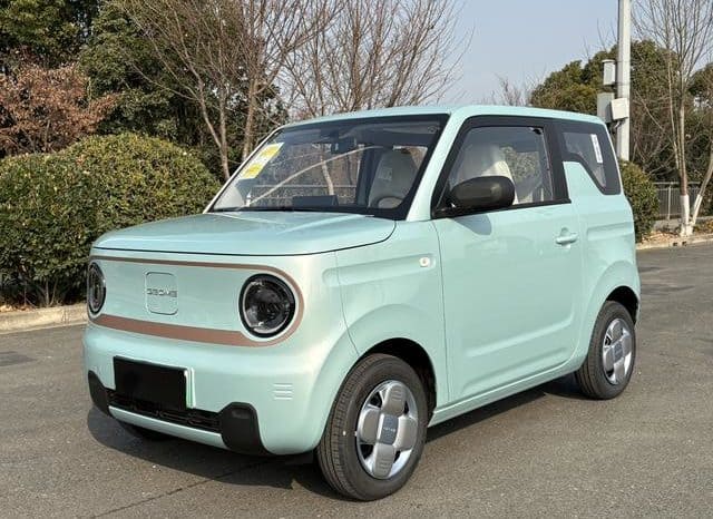 
								Geely Panda, 2024 full									