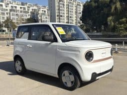 
										Geely Panda, 2024 full									