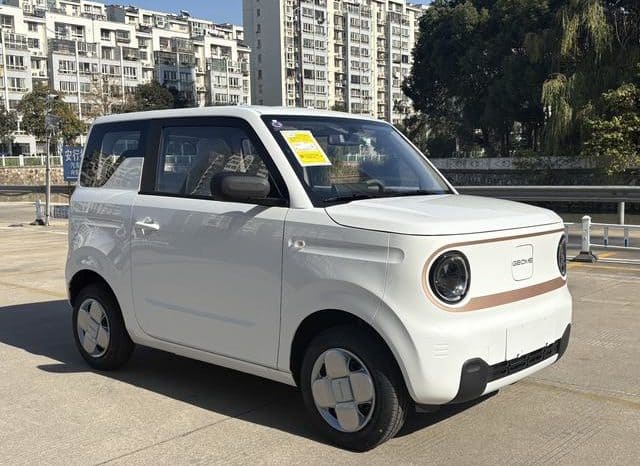
								Geely Panda, 2024 full									