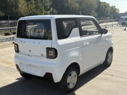 
										Geely Panda, 2024 full									