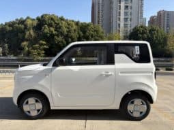 
										Geely Panda, 2024 full									