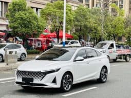 Changan Raeton PLUS, 2023