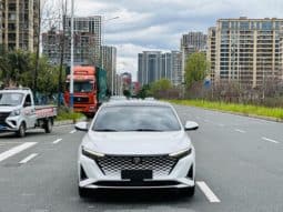 
										Changan Raeton PLUS, 2023 full									