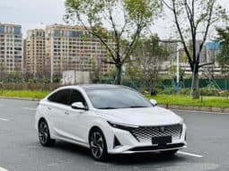
										Changan Raeton PLUS, 2023 full									