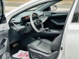 
										Changan Raeton PLUS, 2023 full									