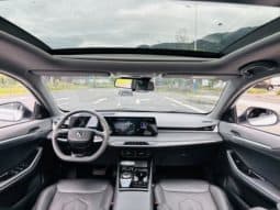 
										Changan Raeton PLUS, 2023 full									