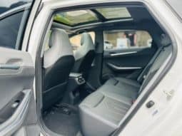 
										Changan Raeton PLUS, 2023 full									